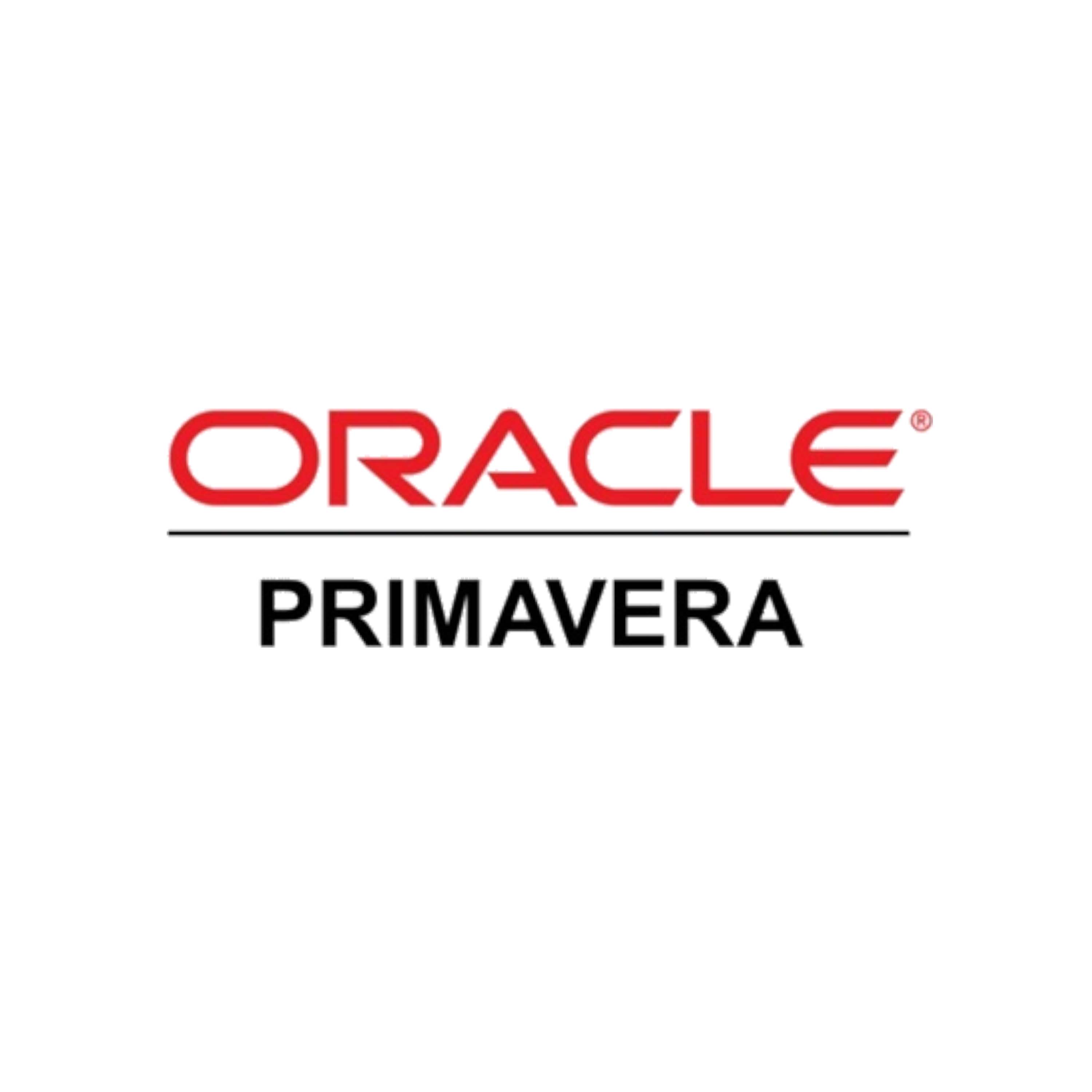 Primavera P6